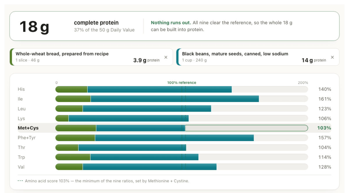 Protein Audit scoring a plate of bread and black beans — 18 g complete protein, with each essential amino acid charted against the WHO/FAO reference.